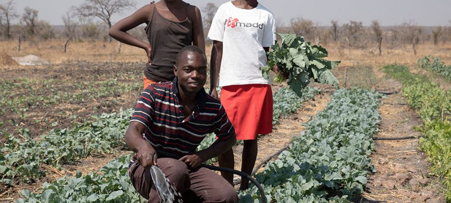 three people in the field