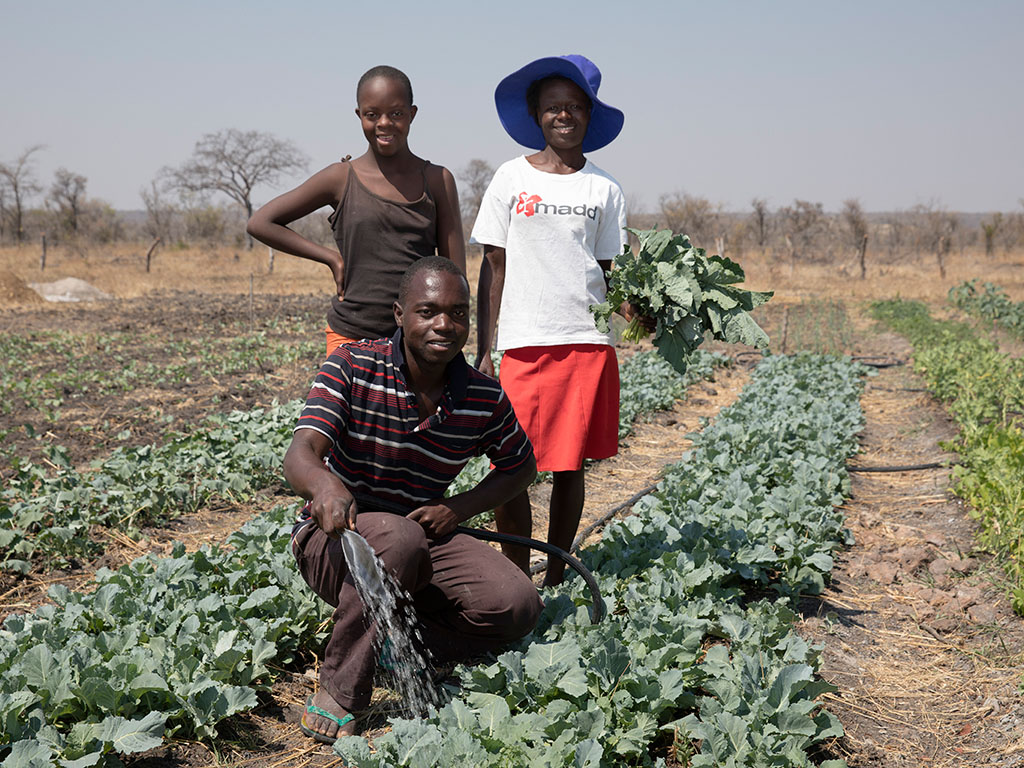 three people in the field